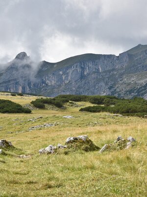 Roßwies - View of the Sagzahn and the Rofanspitze