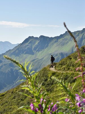 Panorama route Wiedersbergerhorn Alpbach | © Gabriele Grießenböck