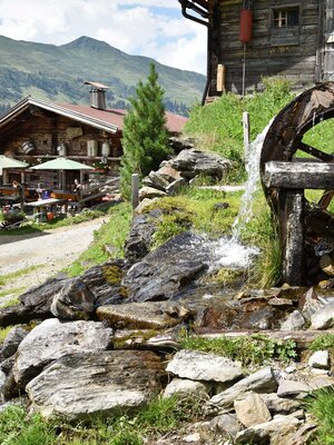 Farmkehralm | © Gabriele Grießenböck