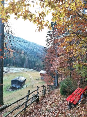img_20231118_150105_edit_52992380916392.jpg | © Wildschönau Tourismus