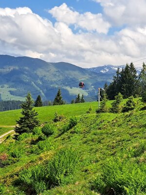 schatzberg_mtb_351_2.jpg | © Wildschönau Tourismus