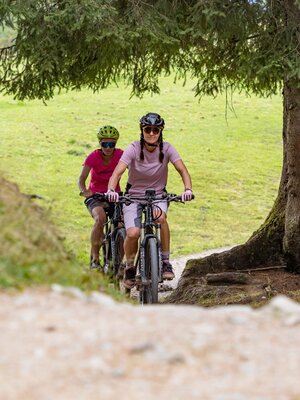 E Bike @ | © Wildschönau Tourismus