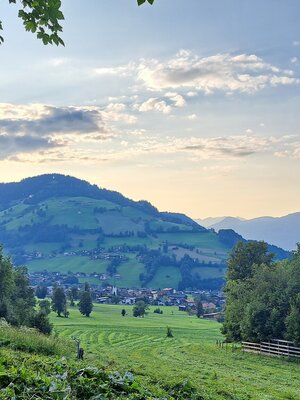 waldrandweg_niederau__2.jpg | © Wildschönau Tourismus