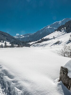 Wildschönau Schönanger Loipe | © Wildschönau Tourismus