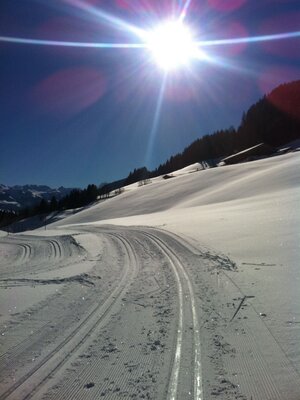 Wildschönau Langlauf | © Wildschönau Tourismus