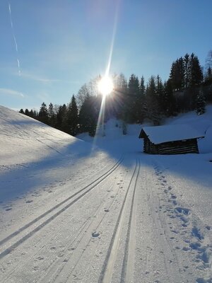 Wildschönau Penning Loipe | © Wildschönau Tourismus