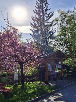 Wildschönau Dorfrundweg Mühltal  | © Wildschönau Tourismus