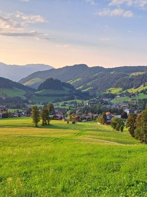 Wildschönau Niederau Waldrandweg Aussicht. jpg | © Wildschönau Tourismus