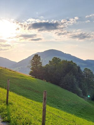 Wildschönau Niederau Waldrandweg | © Wildschönau Tourismus