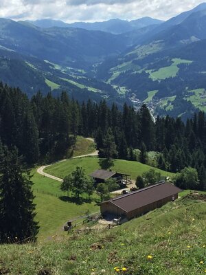 Wildschönau Oberau Achentalalm | © Wildschönau Tourismus