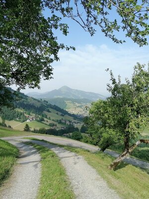 Wildschönau Oberau Loya | © Wildschönau Tourismus