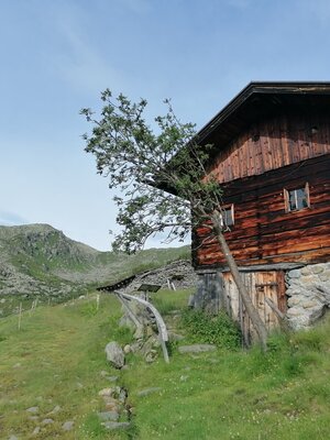 Wildschönau Gressensteinalm | © Wildschönau Tourismus