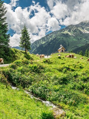 Wildschönau Schönanger Kapelle | © Wildschönau Tourismus