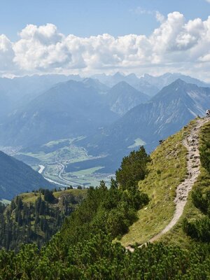 Am Gratlspitz Alpbach_Foto Alpbachtal Tourismus_ G