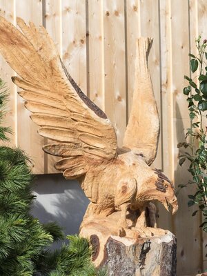 Adler_Alpbach_Rosenhof | © Photoegger